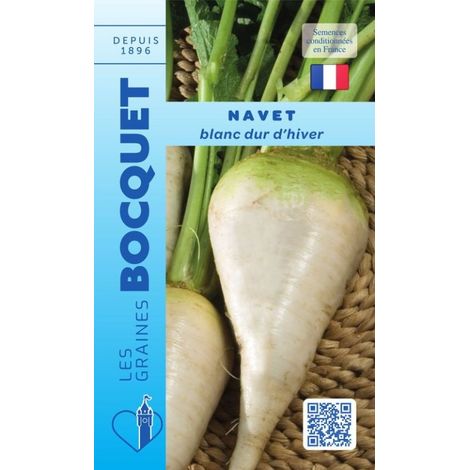 Navet blanc dur d'hiver - 6g