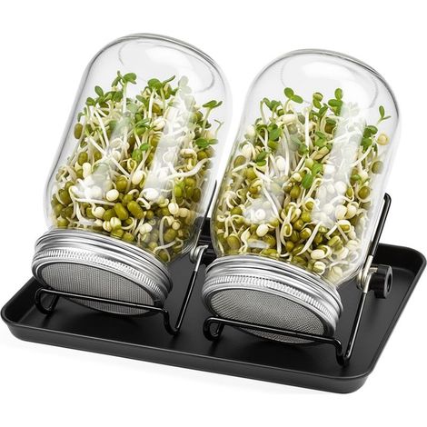 Lot de 2 bocaux germinateurs, verre transparent, support inclinable acier, égouttoir mélamine, culture pousses alfalfa (1/5)
