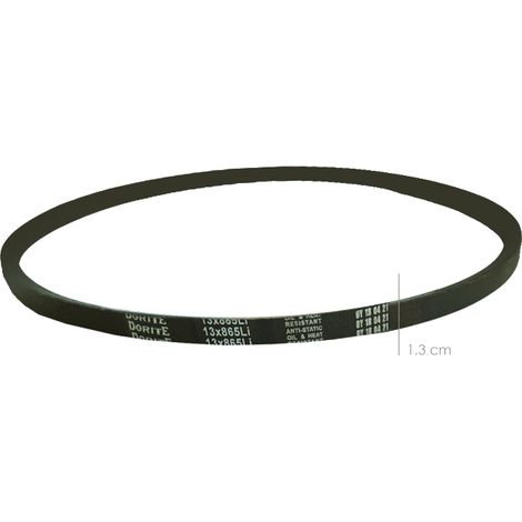 Courroie pour Biotriturateur BS7001