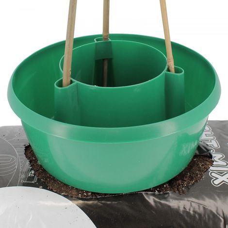 Plant HALOS x 3 - coloris vert - GARLAND