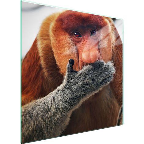 PLACA PROTECTORA DE VIDRIO PARA ESTUFA 50x52 NOSACZ (1/5)