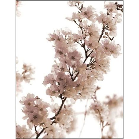 Lot de 3 posters modernes haut de gamme - Beige - Sans cadre - Impression d'art - Décoration pour le salon (50 x 70 cm) (1/4)