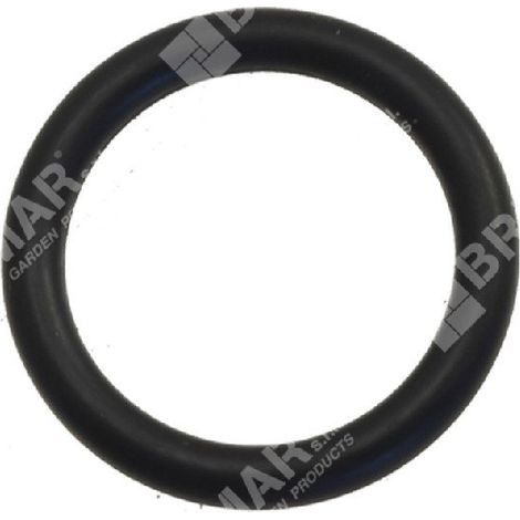 O-Ring für KOMPATIBLE BERTOLINI-Pumpen - 007693