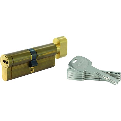 THIRARD - Lot de 10 cylindres à bouton Transit 1 30x40mm, laitonné, 5 clés - THIRARD
