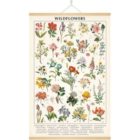 Affiche vintage de fleurs sauvages, art mural botanique coloré (1/5)