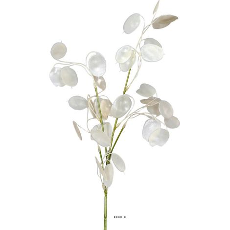 Branche de la monnaie du pape artificielle H 65 cm (1/3)