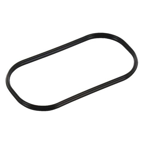 Guarn.filt.aria Serie GX/GXV6 HONDA 17228Z6L000