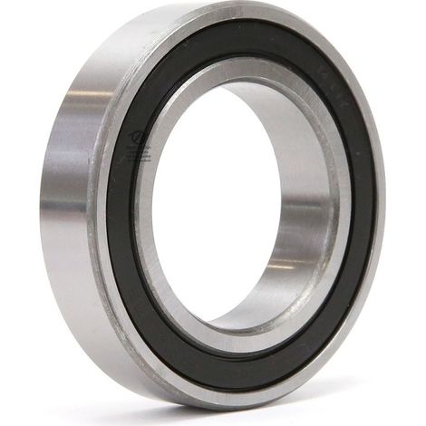 Roulement à billes 6009-2RS. Double étanchéité. Ø 75 mm. 1er Prix (1/3)