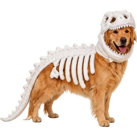 Déguisement de squelette de dinosaure pour animaux de compagnie avec capuche, idéal pour Halloween (chien et chat) (blanc, 120 cm) (1/3)