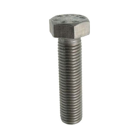 Tornillos de metal con cabeza hexagonal inoxidable A2 - 10x25 - X100 - Acton