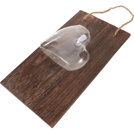 Vase Hydroponique Mural en Verre Et Bois pour Plantes Aériennes pour Décoration Intérieure (1/5)