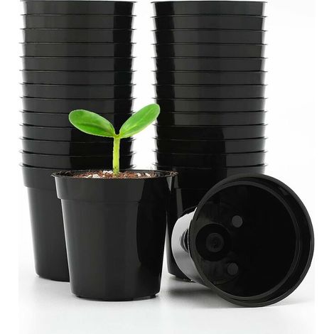 SEPSHA 50 Pièces Petits Pots pour Semis,Mini Rond Brillant Pot Plante de semis,pour Semis de Petites Plantes,Noir H243 (1/5)