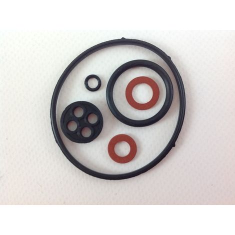 Kit de juntas compatible con tractor de césped HONDA 16010-ZE1-812 (1/2)