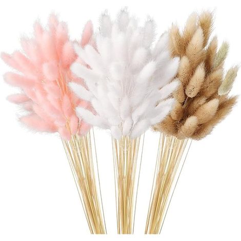 Décoration de l'herbe de la pampa naturelle - 180 pièces fleurs séchées, queues de lapin pour mariage, salon, chambre à coucher (1/5)