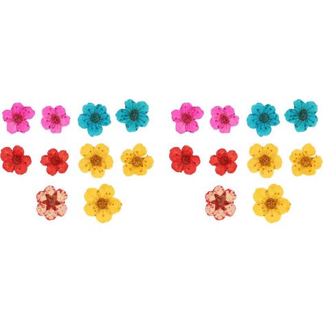20 fleurs séchées mélangées couleurs romantiques, forme pleine douce naturelle, pressées déco organique relaxante (1/5)
