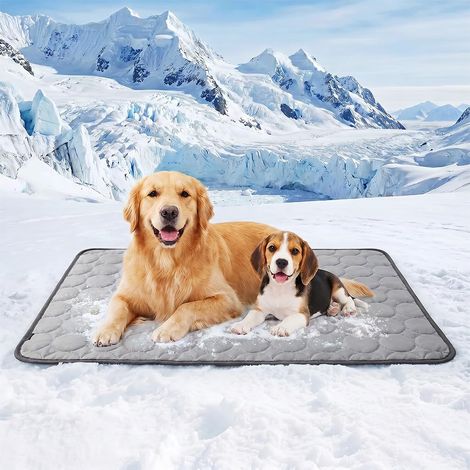 Tapis Rafraîchissant pour Chat,Fraicheur Chien,Reste Froid Plus Longtemps,Tapis Fraicheur pour Animaux de Compagnie Étanche et Facile à Nettoyer (Gris, XS-40  30cm)