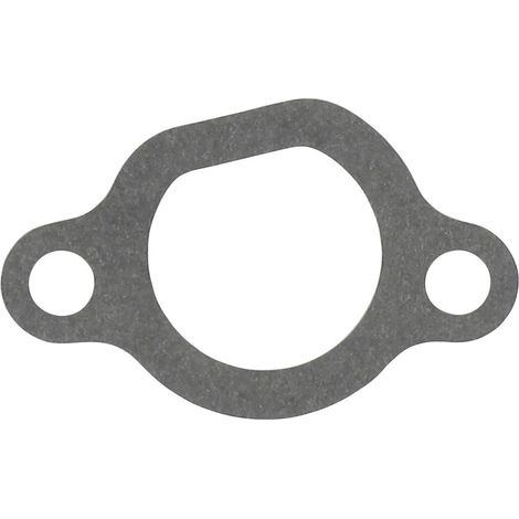 Guarnizione carburatore STIGA 118551395/0
