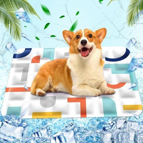 Tapis rafraîchissant pour Animaux de Compagnie Matelas rafraîchissant, rafraichissant pour chien Injection d'eau, 60x90cm