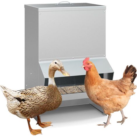 Acier Galvanisé Résistant Mangeoire Grande Capacité 50 lbs pour Nourrir Poules Canards et Oies (1/5)