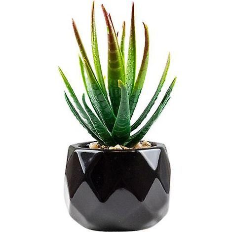 Plante artificielle réutilisable, réaliste, en PVC, facile d'entretien, succulentes artificielles, bonsaï1 (1/5)