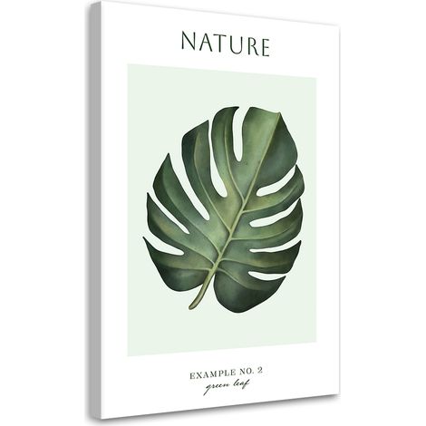 Tableau sur toile Feuille verte - Nature 70x100 (1/5)