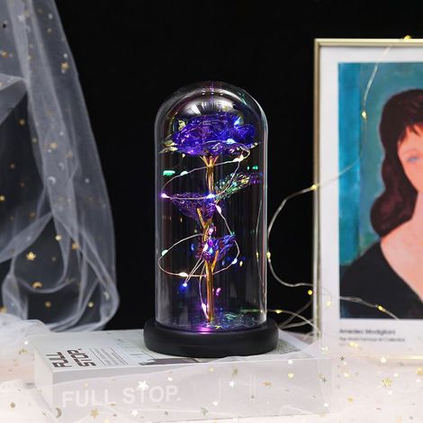 QAZQA Beauté Et La Bête Rose en Verre Dôme LED Lumières Cristal Rose Fleurs Cadeau pour Anniversaire Saint-Valentin Mariage Petite Amie Femme (1/5)