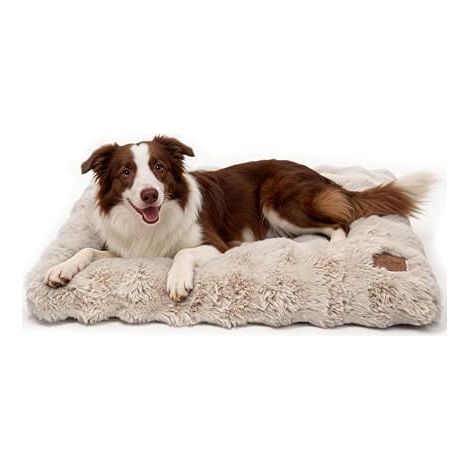 Panier Chien Grande Taille: 90x60x10cm Coussin Chien Déhoussable et Lavable en Machine, Tapis Matelas Lit Imperméable, Tissu Peluche Doux, Beige (1/5)