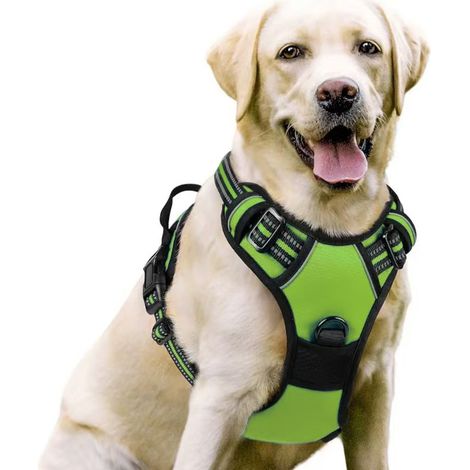 harnais chien – Harnais pour chien moyen à grand – Réglable et réfléchissant – Attache avant pour anti traction – Taille L, tour de cou 46-66 cm, tour de poitrine 38-89 cm-Vert fluorescent