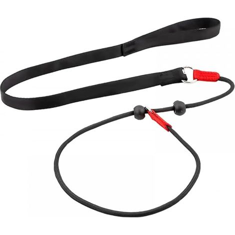 Training Lead Rope 1.4 m Control Lead with 2 Handles for Small Medium Dogs Puppies (1/5)