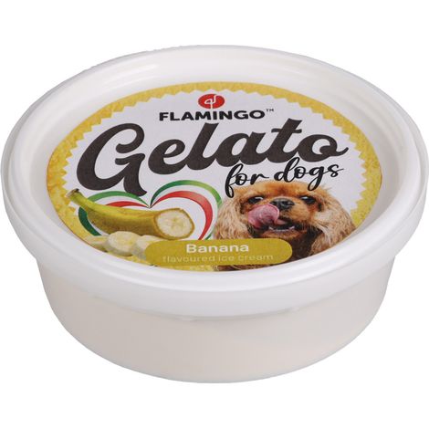 Snack Gelato 1crème glacée à l'ananas ou à la banane ou à la framboise parfum aléatoire 40 g pour chien - Flamingo (1/3)