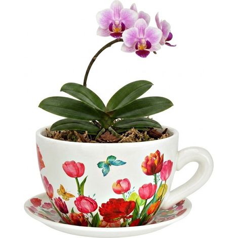 Vase ou pot de fleurs en forme de tasse Jolies tulipes 23 x 25 cm