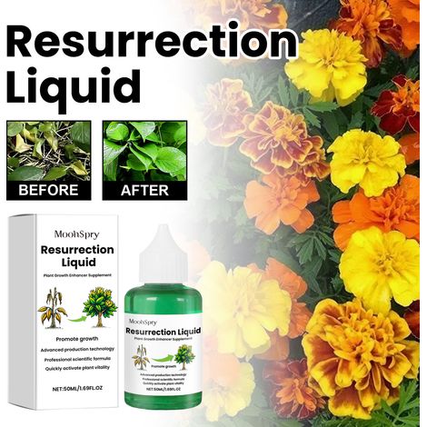 Plant Renewal Liquid - Root Protection and Nutrient Solution for Flowers, Herbs, Fruit Trees, and Green Plants - 50ml (1/5)