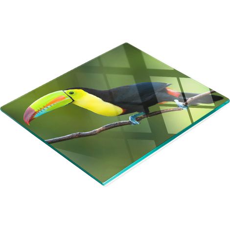 Tabla decorativa multifuncional de vidrio templado Toucan para cocina, 60x52 cm. (1/5)
