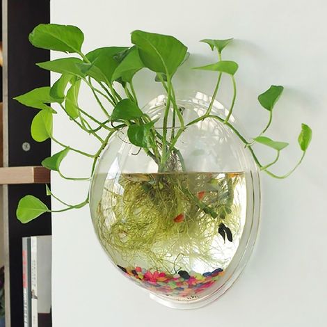 Bac à Poissons Mural - Acrylique Transparent - Diamètre 19,5 cm ou 23 cm - Décoration Murale Intérieure - Lot de 1 (1/5)