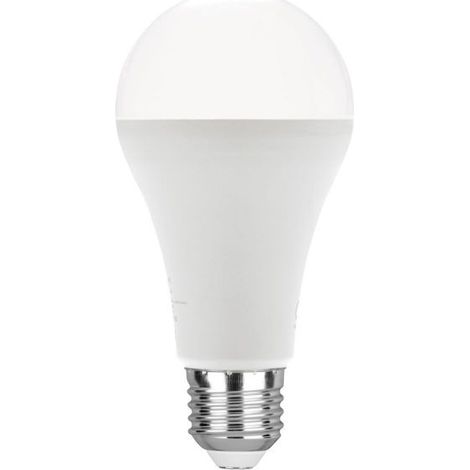 Lampadina LED E27 19W 2618LM 6500K Luce Fredda Classe D KLASSIC-E27-19F
