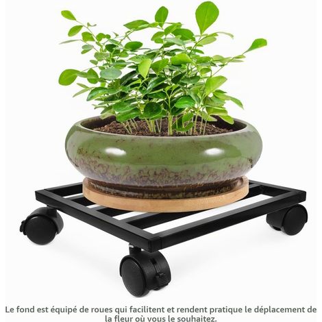 Support à Plantes en Fer 25 CM avec roulettes Mobiles Base Carrée Robuste pour Pots Lourds Support Roulant Polyvalent Intérieur et Extérieur (1/5)