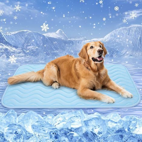 Tapis Rafraichissant Chien Chat. 100x70cm Tapis Rafraichissant pour Chien. Soie Glacée Respirant. Coussin Rafraîchissant Lavable. Durable. Idéal pour Les Animaux de Compagnie en été. Bleu (1/4)