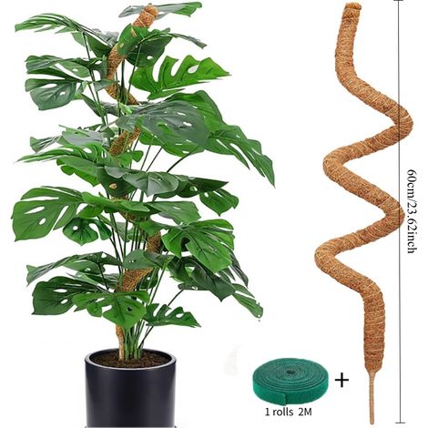 Tuteur flexible en mousse, support pour plantes grimpantes, tuteur pour palmiers monstera, accessoires pour plantes en pot et jardins (1/5)