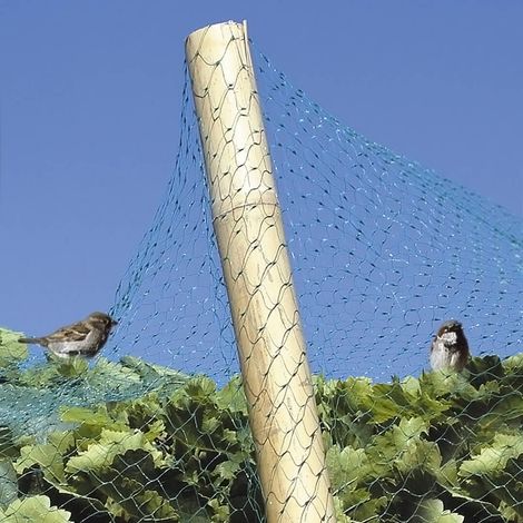 Red de protección contra aves Bg 6 X 4 (1/3)