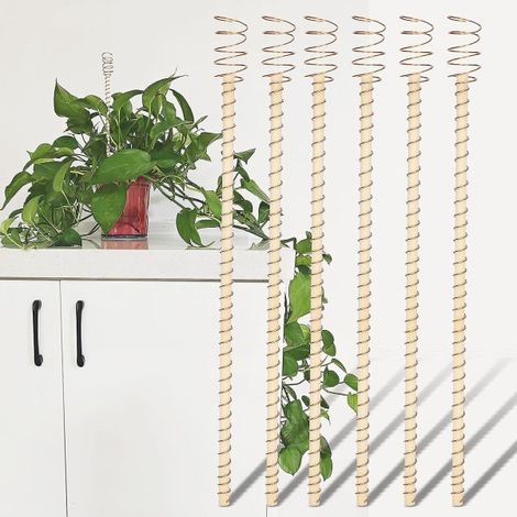Tuteur pour plantes Electroculture, tuteurs de support en fil de cuivre, antennes à bobine de cuivre pour la culture des plantes - 6 pièces (1/5)