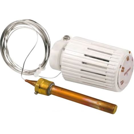 Tête thermostatique avec capteur à distance Bulbe liquide Giacomini R462LX R462LX021