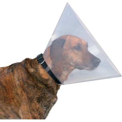 Collier de protection pour chien L 44-50 cm – En plastique transparent – Empêche de lécher les plaies – Avec fermeture (1/4)