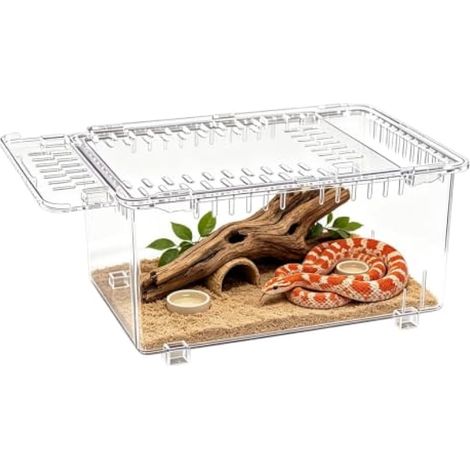 Terrarium en acrylique transparent avec couvercle coulissant Motif dragon (1/5)