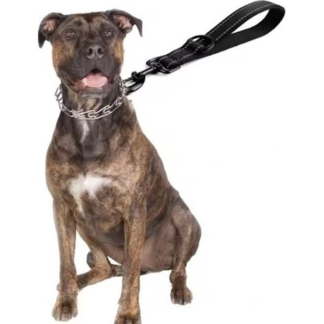Correa corta para perro de nailon negro con costuras, 30 cm. (1/2)