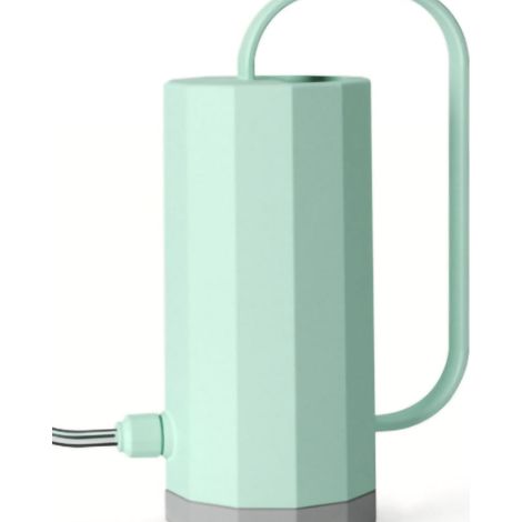 Arrosoir en acier inoxydable à long bec, pot d'arrosage pour plantes avec grande poignée ergonomique pour jardin, vert menthe