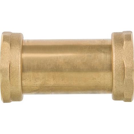 Termobac DB 40 double action anti-retour, Rp 11/2" (1/2)
