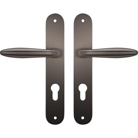 1 Paire Poignées sur plaque zamak Titane fixation 195mm épaisseur 37-53mm pour Porte d'Entrée (1/2)