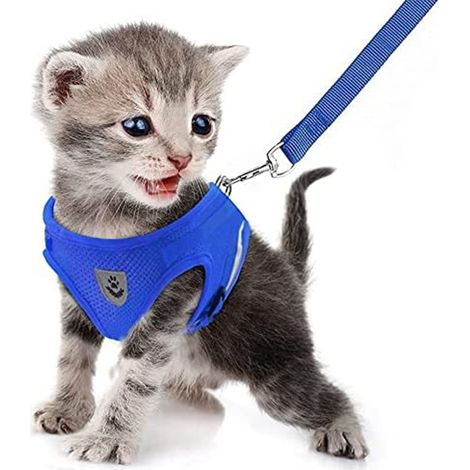 Harnais Chien Chat - Traction Réglable en Maille Respirante - Pour Sorties Extérieures - Tailles S M L XL - 1 Pièce (1/5)