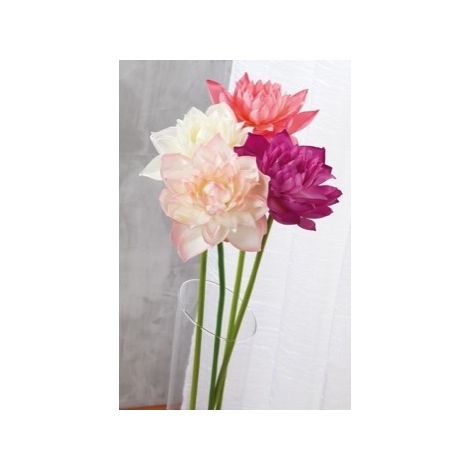 FIORE DI LOTO ASS4COL CM 84