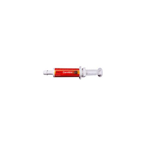 PRO L-CARNITINE - Endurance du cheval (1/3)
